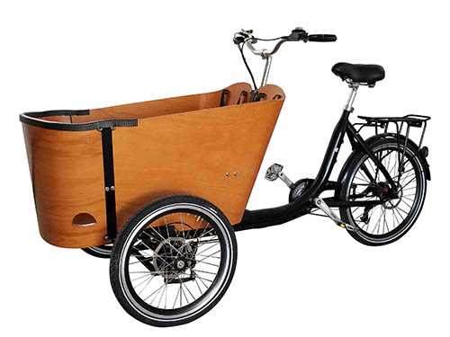 Accessible Cycles Group